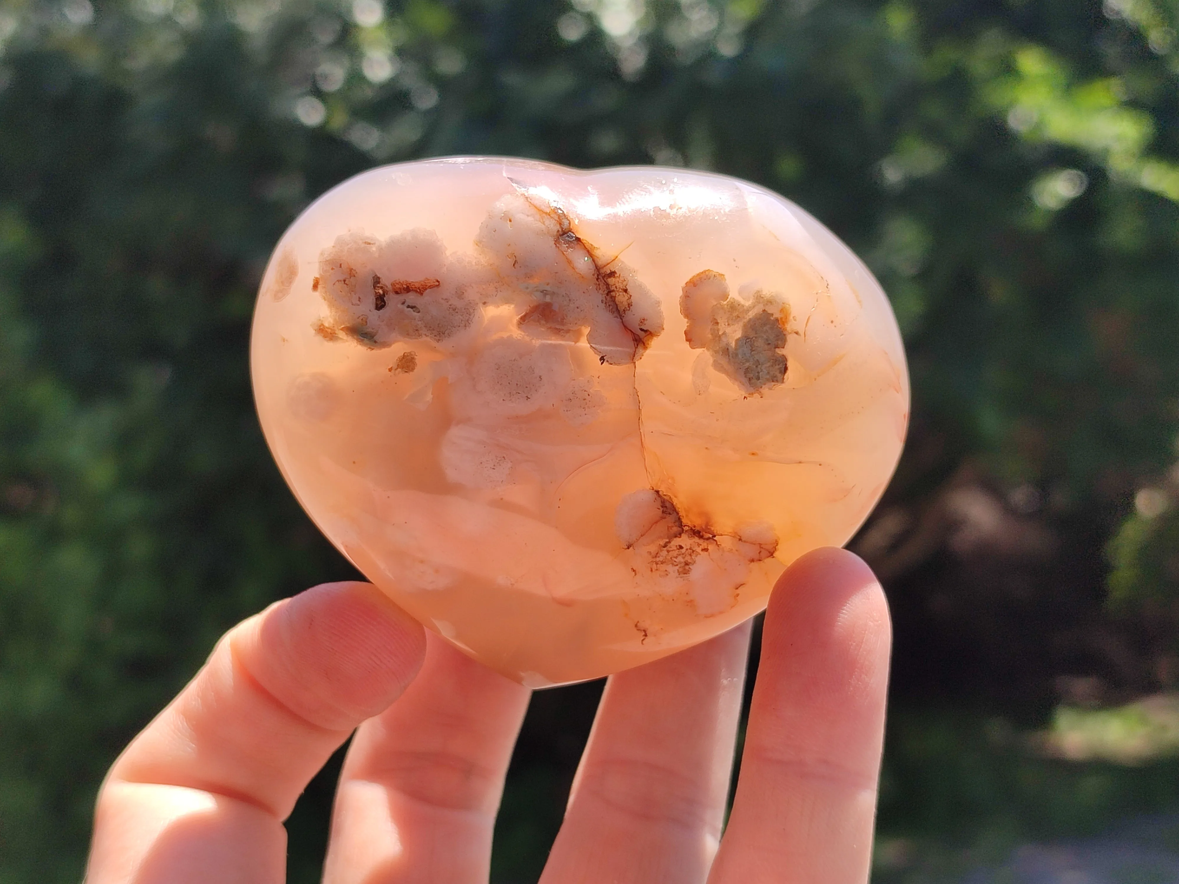 Polished Flower Agate Gemstone Hearts x 7 From Madagascar