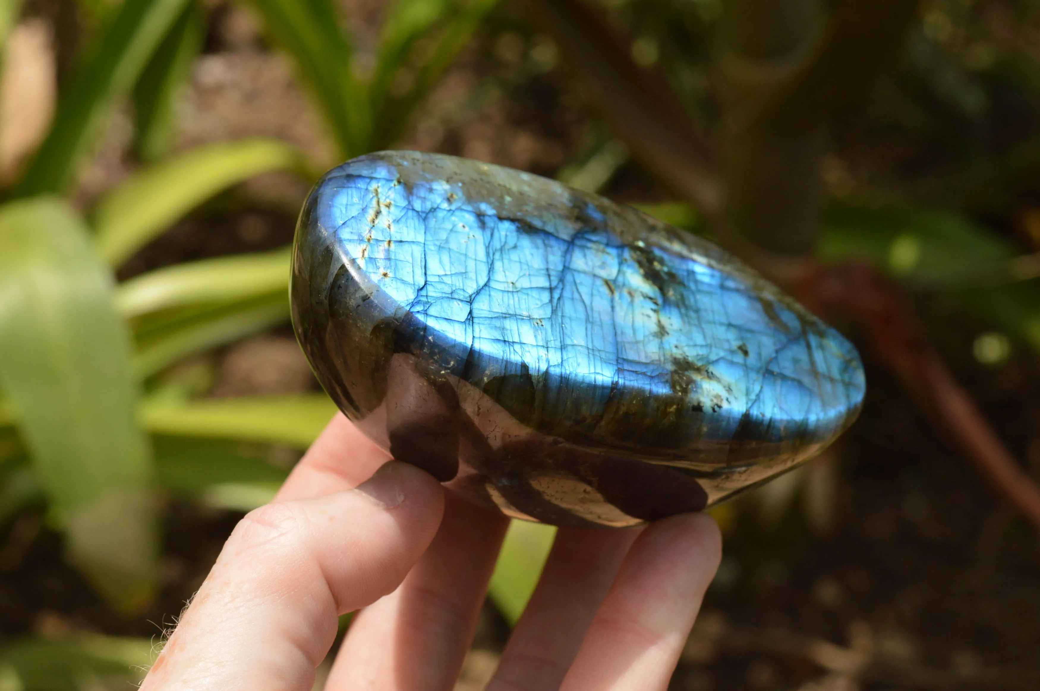 Polished Labradorite Standing Free Forms With Intense Blue & Gold Flash x 3 From Tulear, Madagascar
