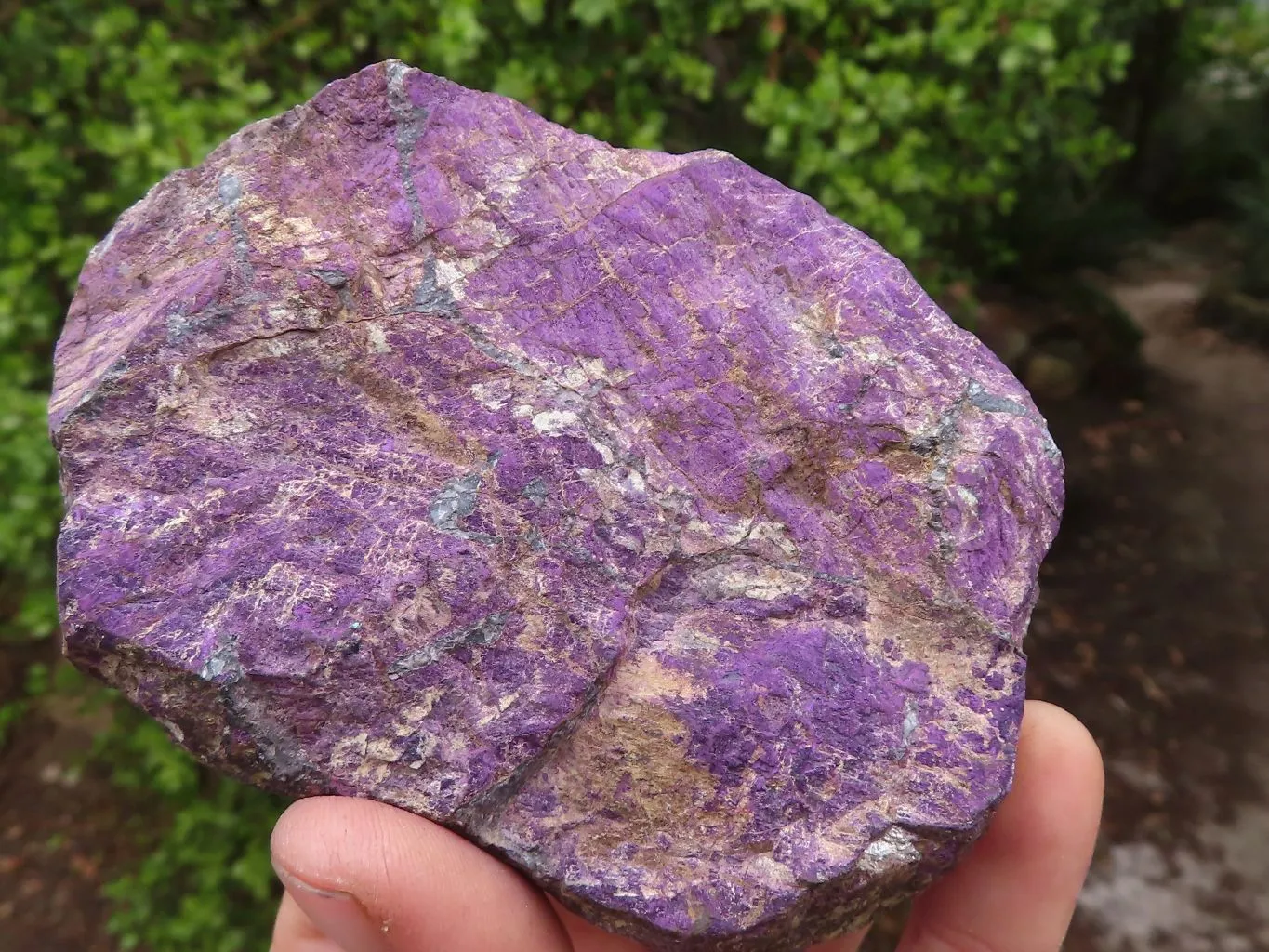 Polished Metallic Purpurite Free Forms With Matte Finish x 6 From Erongo, Namibia