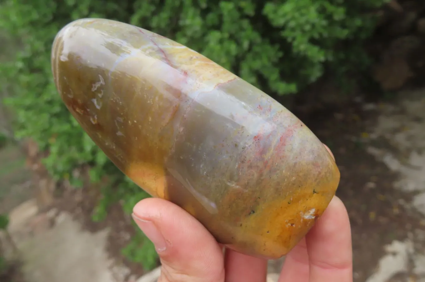 Polished Ocean Jasper Standing Free Forms x 2 From Madagascar