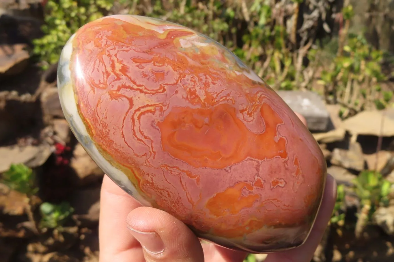 Polished Polychrome Jasper Standing Free Forms x 3 From Mahajanga, Madagascar